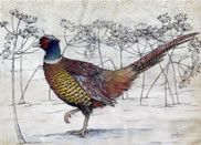 Winter Pheasant Greetings Card