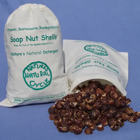 Soap Nut Shells