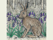 Hare and Bluebells Card