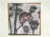 Harvest Mouse Greeting Card