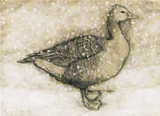 Winter Goose Greetings Card