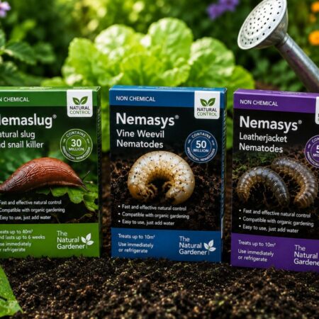 What Are Nematodes? Your Garden’s Natural Pest Fix