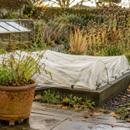 How to Prepare Your Garden for Winter UK