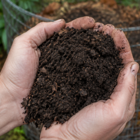 How to Make Leaf Mould: The Slow Mulch Worth Waiting For