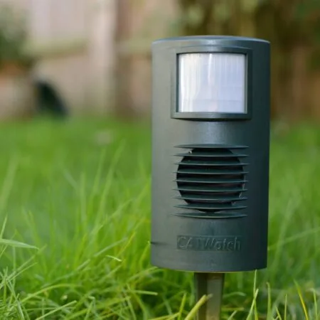 cat watch deterrent - the natural gardener
