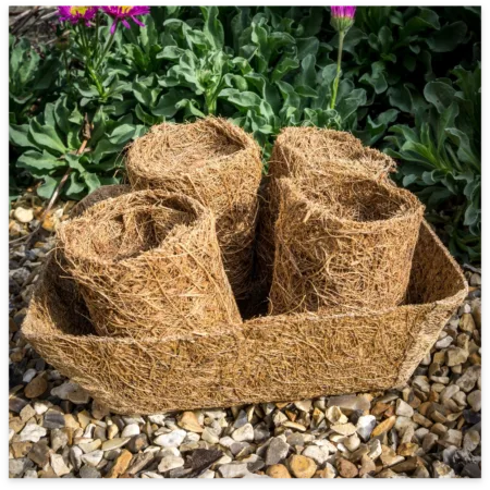 biodegradable coir plugs set - the natural gardener