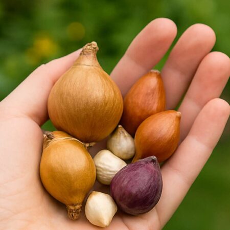 Gardening Jobs For September