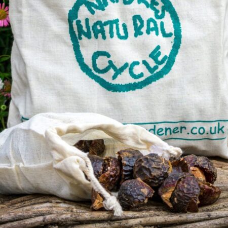 What Are Soap Nut Shells? Nature’s Answer to Laundry Detergent